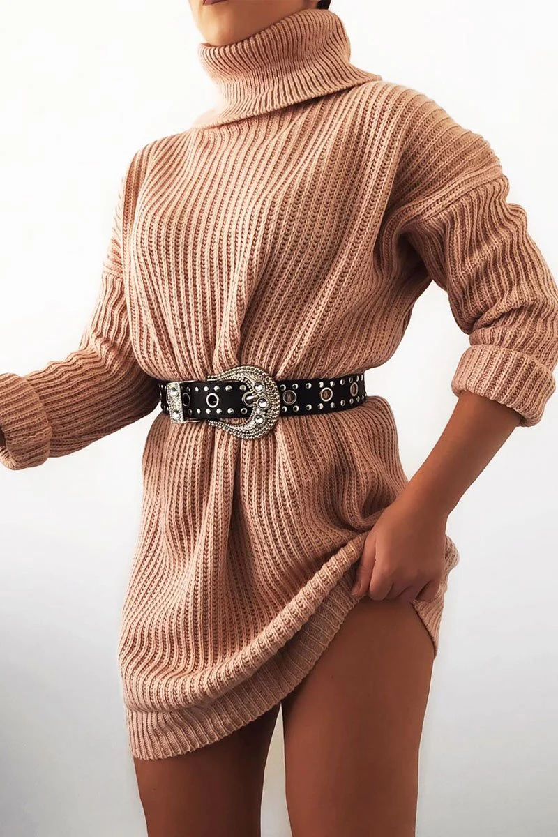 Pink Roll Neck Mini Jumper Dress - Dariyana - Image 5
